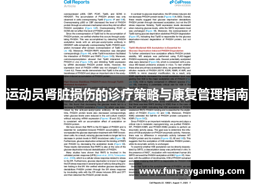 运动员肾脏损伤的诊疗策略与康复管理指南 运动员肾脏损伤的诊疗策略与康复管理指南